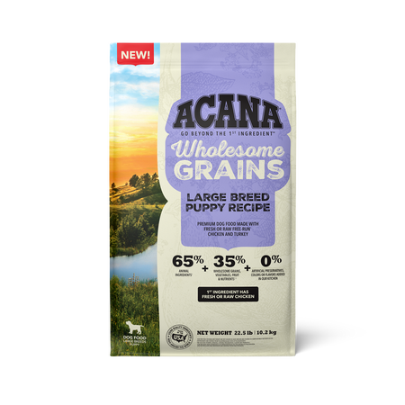 Premium large breed puppy food sales